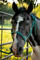 Barn Photos