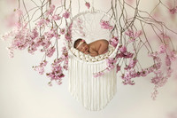 2019, Newborn, Abby
