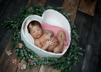 Newborn, Brittany
