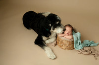 Newborn, Erin Bauer