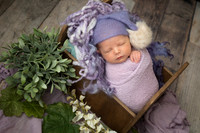 Newborn, Stephanie Burkamp