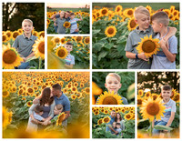 21, Sunflower Amanda