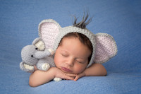 Newborn, Kari