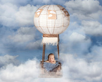 2021, newborn Bre