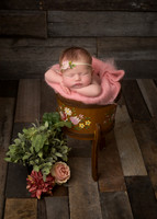 Newborn, Julie Koch