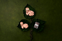 Newborn, George