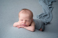 newborn, Fronk