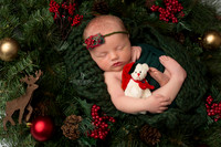 Newborn, Robin