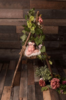 newborn, summer