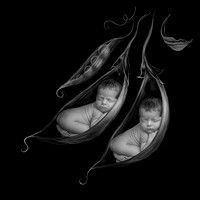 2019Newborn, Adriana Twins