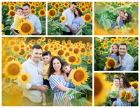 21 Sunflower Melissa