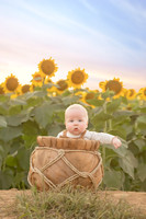 Sunflower, Kaylie
