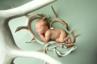 Newborn, Rachel T