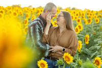 Sunflower2