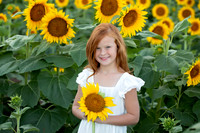 Sunflower, 4