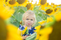 Sunflower22