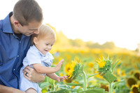 Sunflower10