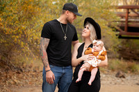 Fall Mini3