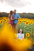 Sunflower, Melanie