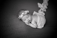 Newborn Megan