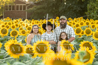 Sunflower, PROOF Nikki