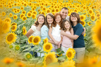 sun3