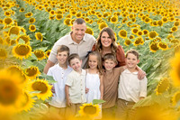 sun5