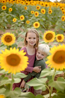 sunflower, Shelley
