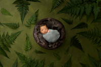 Newborn, Emily Lin