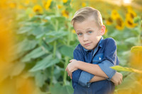 Sunflower, Price