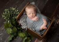 Newborn, Ansley