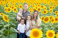 Sunflower, K