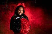 Lansing Cheer Banner