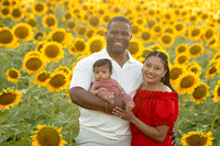 Sunflower, Marika